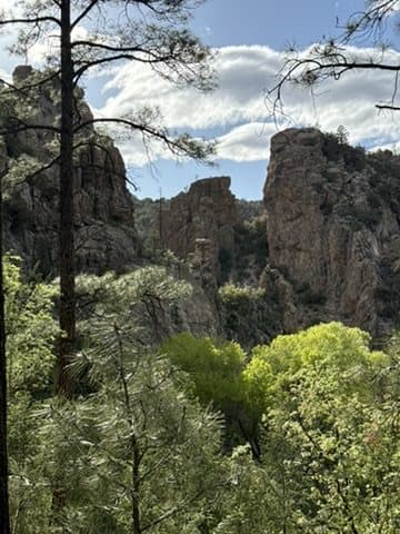 Rock formations framed by pine forest