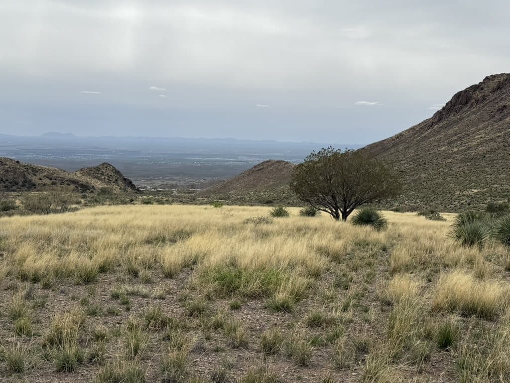 Open desert terrain stretching toward distant mountains