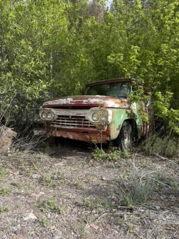 Vintage truck reclaimed by the trail